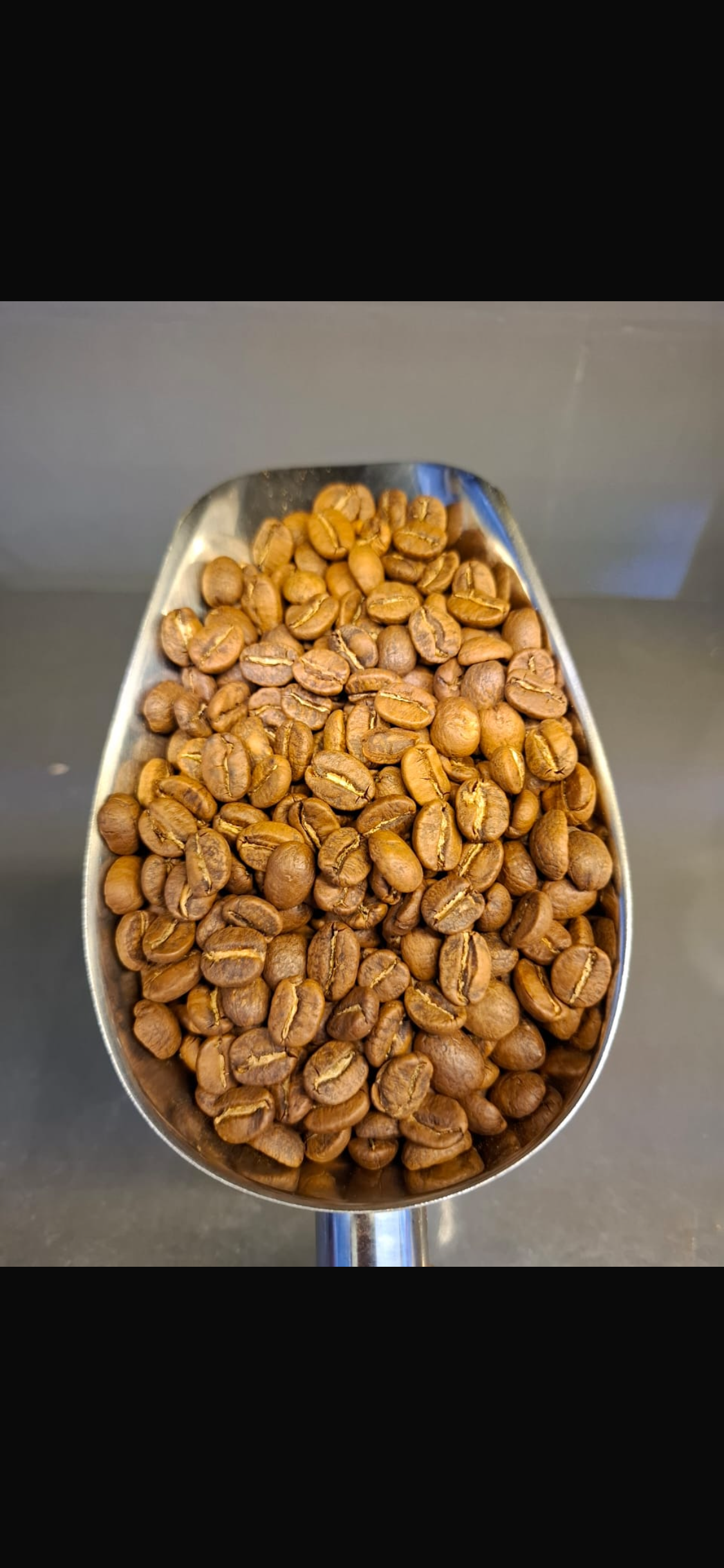 قهوه ۱۰۰عربیکا کلمبیا500g